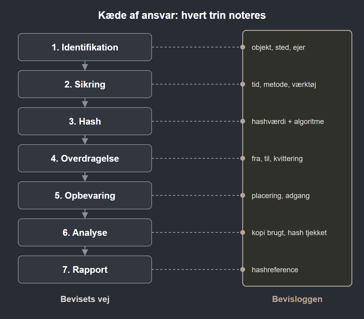 Beviset går gennem syv trin fra identifikation til rapport, og hvert trin noteres i bevisloggen med de oplysninger, der hører til.